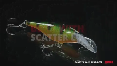 Rapala® Scatter Rap® Shad Deep